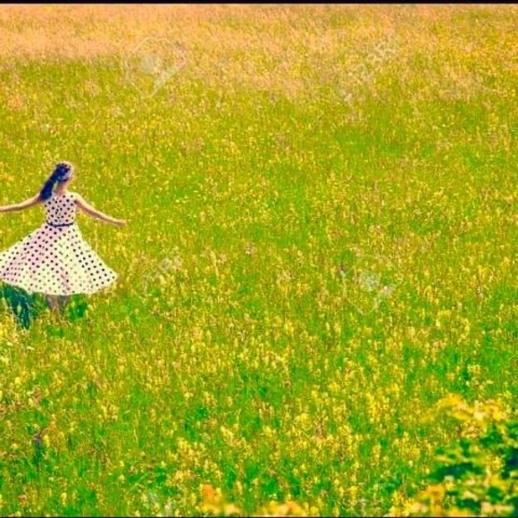 Meet your Posher, Vicki - Picture 1 of 1